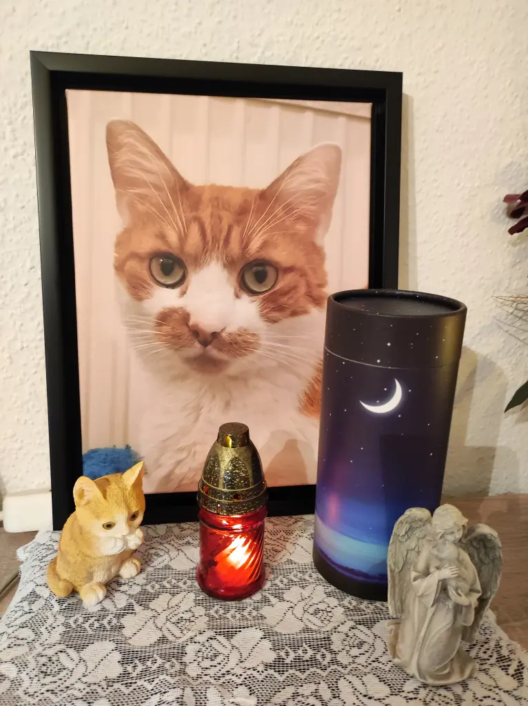Condolence image of Sandra Marschner