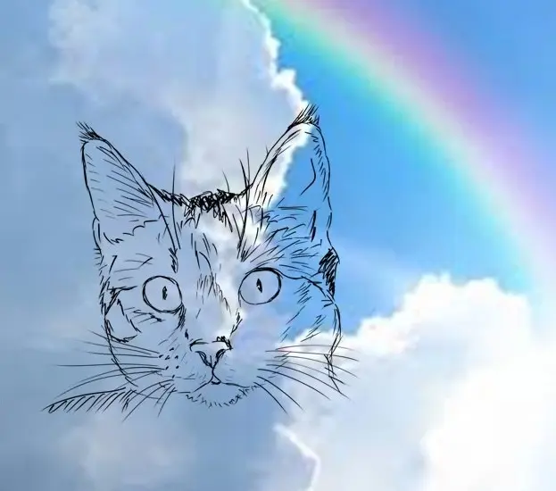 Condolence image of Sylvia