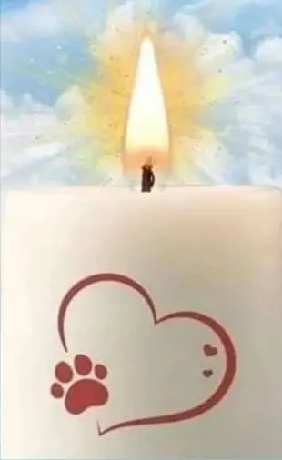 Condolence image of Ulrike 