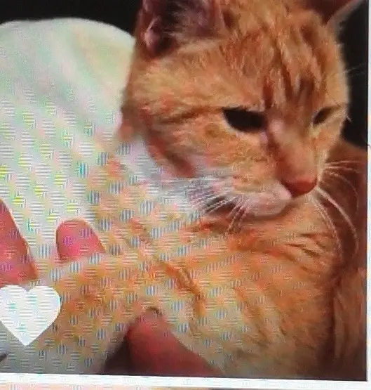 Condolence image of Ulrike 