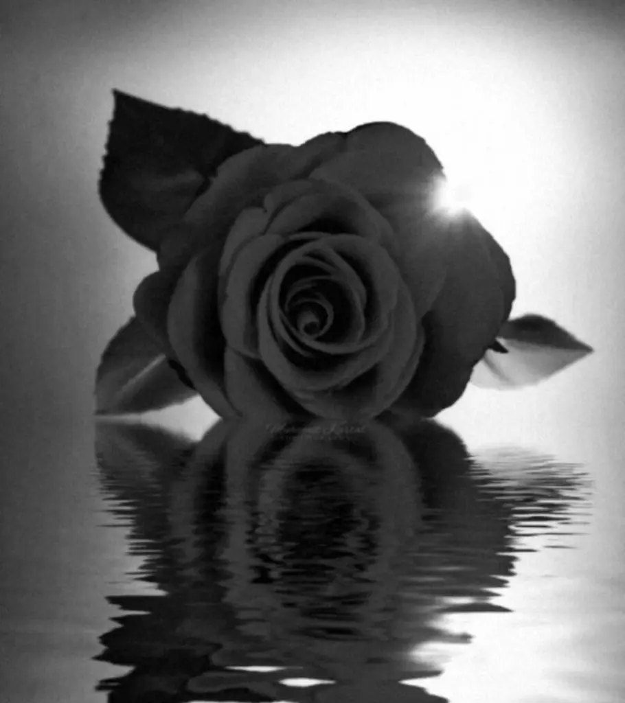 Condolence image of Ulrike 
