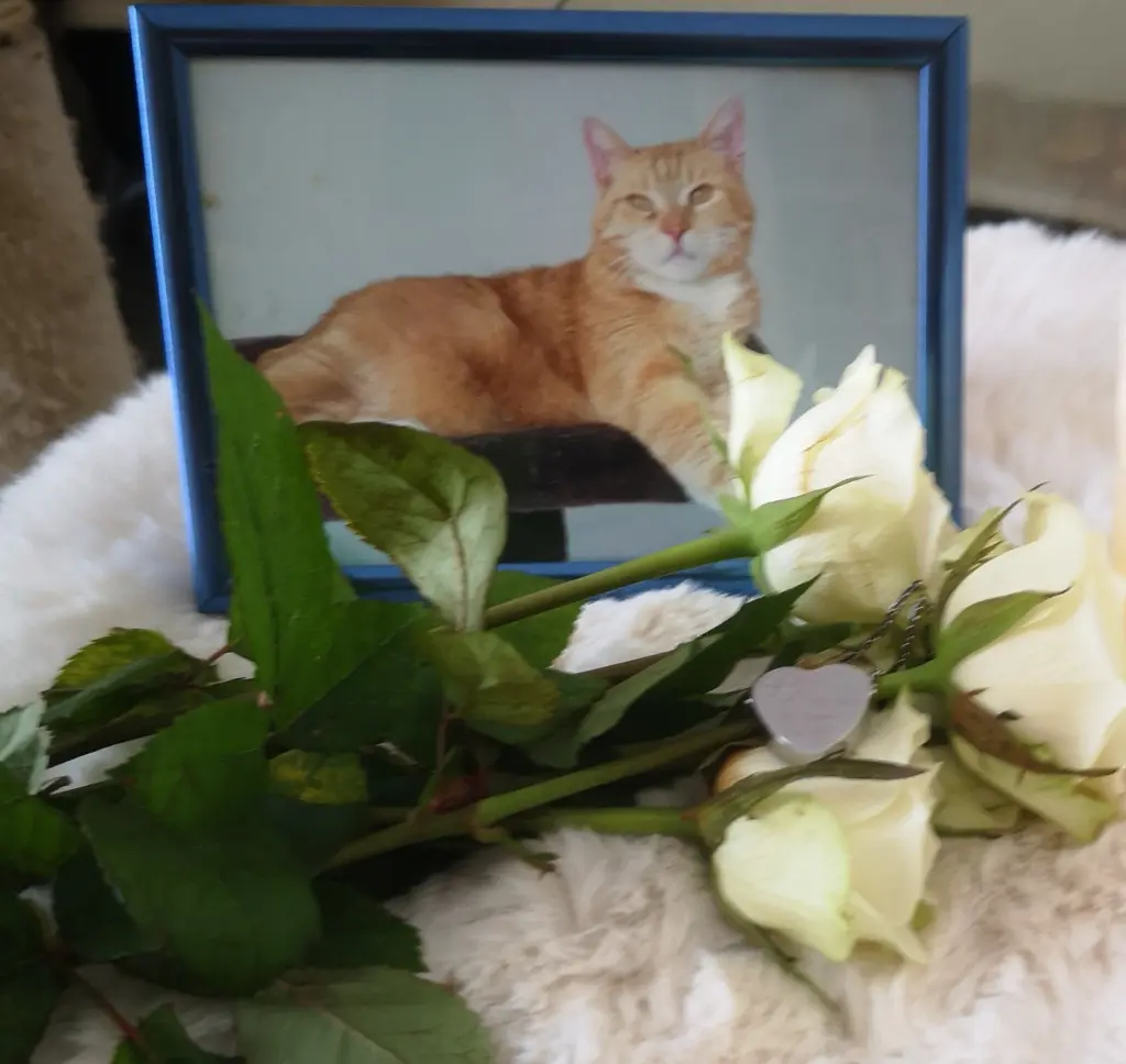 Condolence image of Ulrike 
