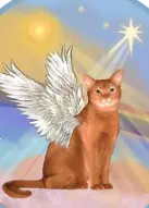Condolence image of Ulrike 