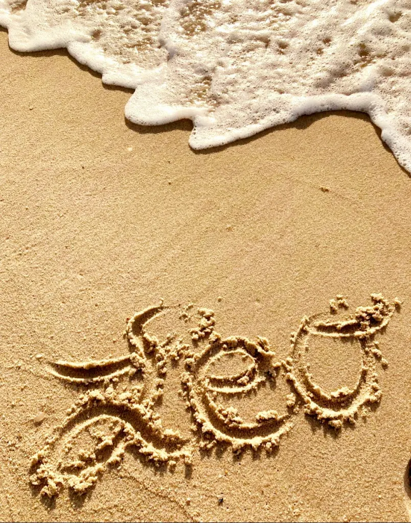 Image from Leo