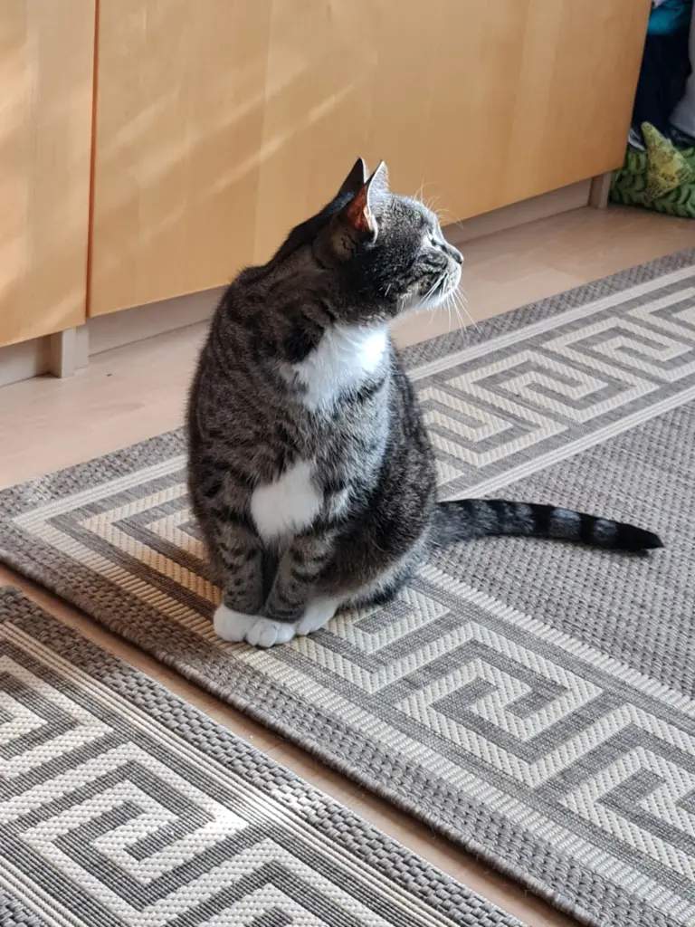 Condolence image of Cosima