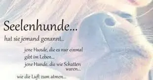 Condolence image of Annemarie und Elke mit Snoopy im Herzen gest.04.01.2022