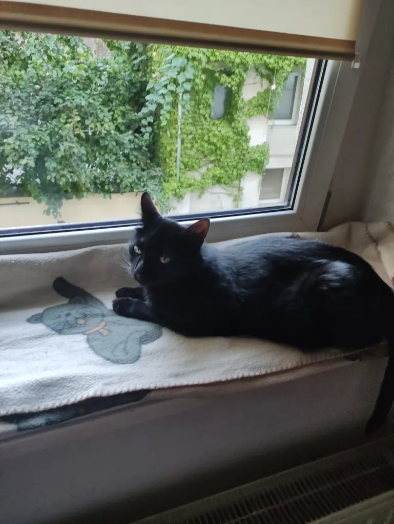 Condolence image of Sabine 