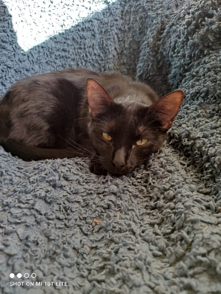 Condolence image of Sabine 