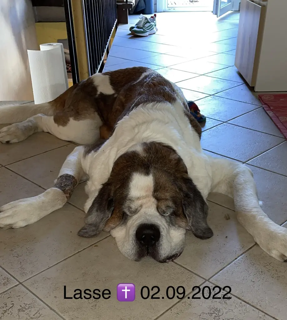 Image from Lasse