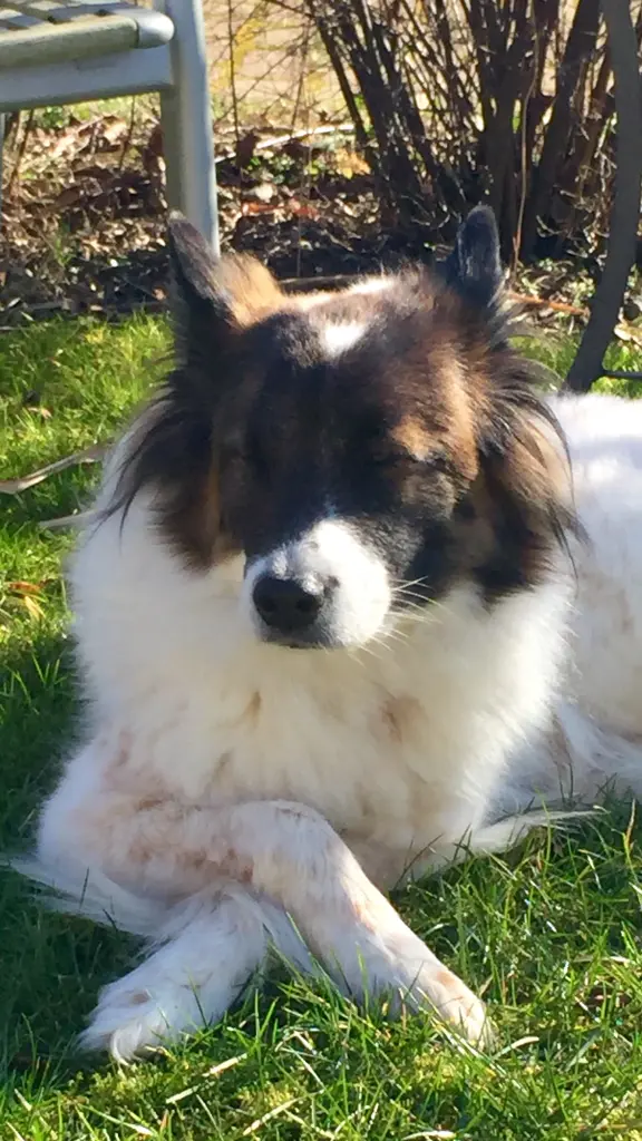 Condolence image of Susanne