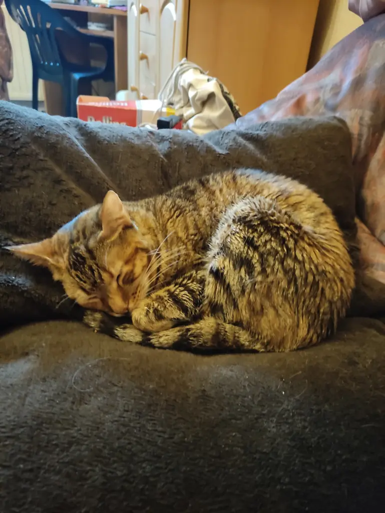Condolence image of Sabine 
