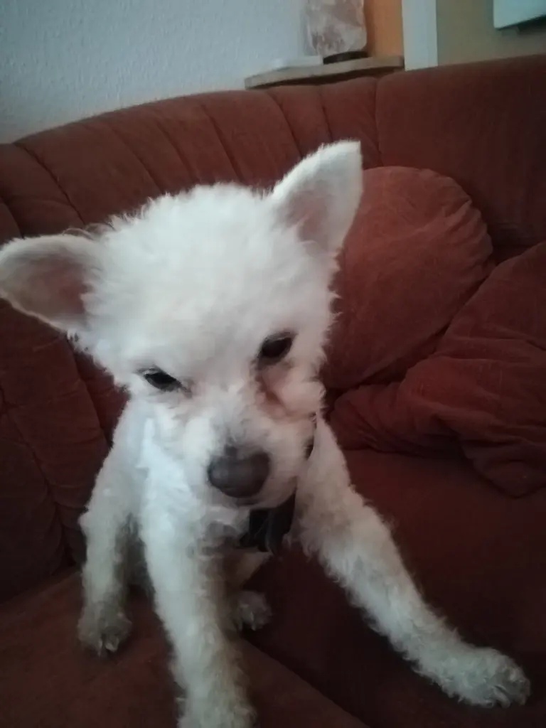 Image from Teddy