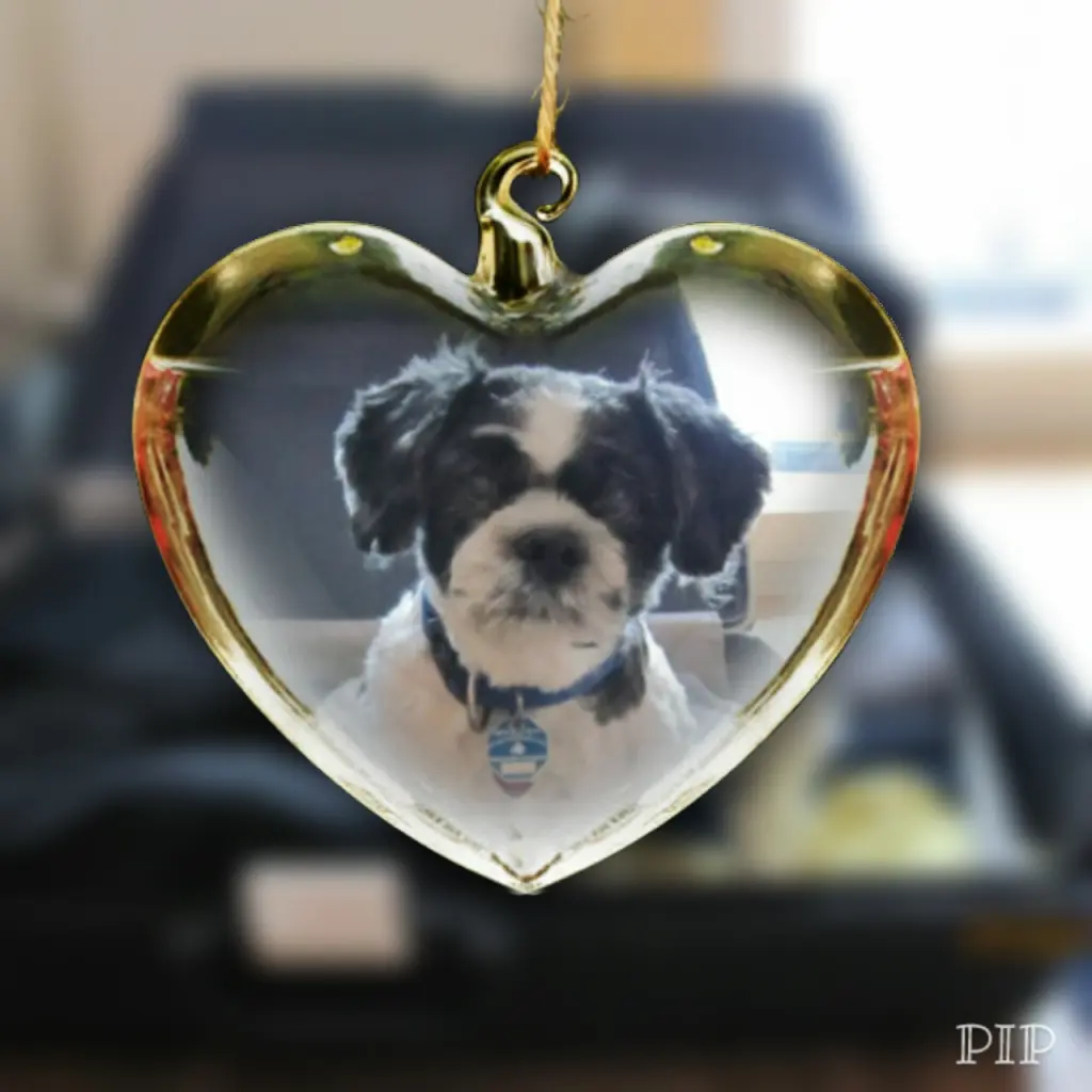 Image from Lucky