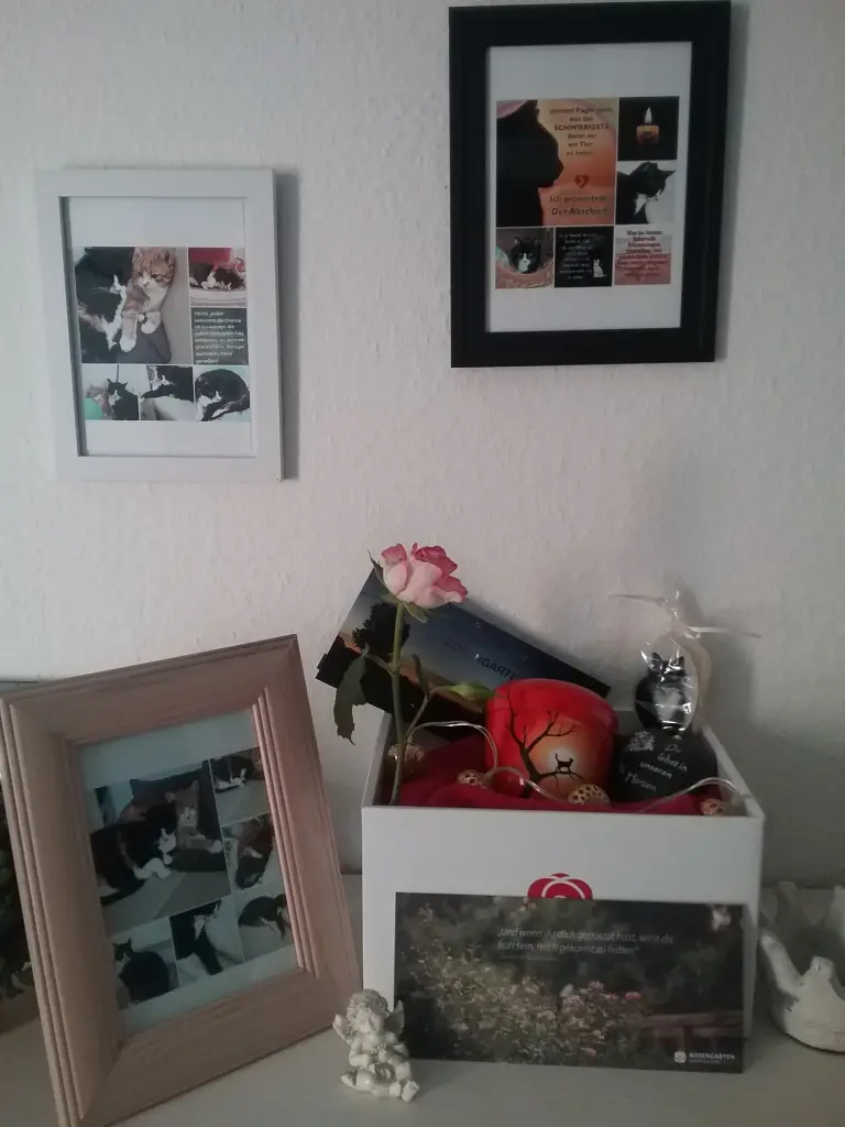 Image from Paula