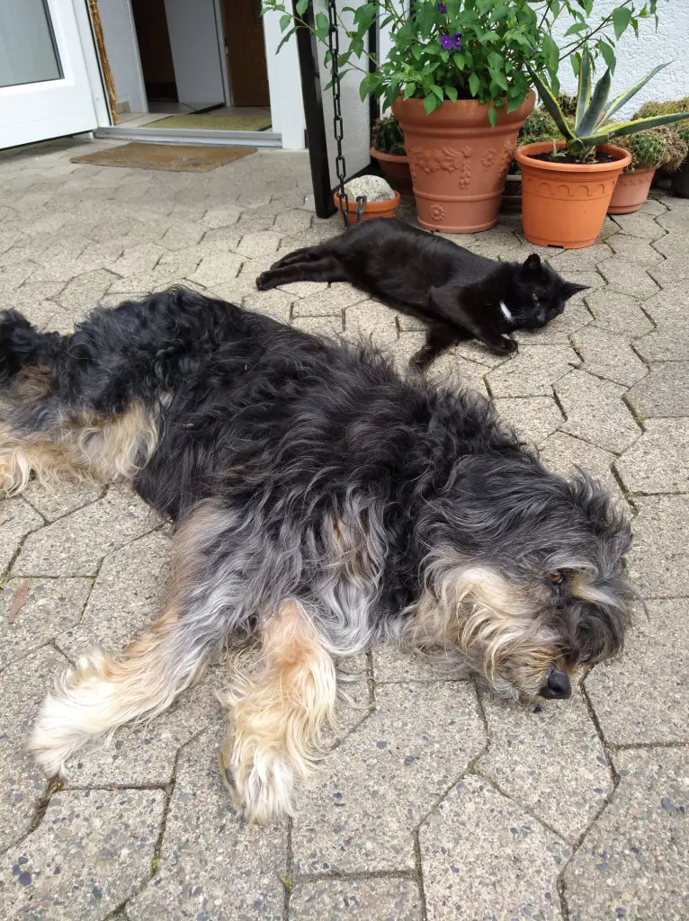 Image from Shari