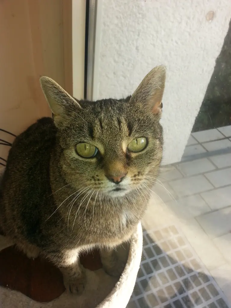 Condolence image of Heinz