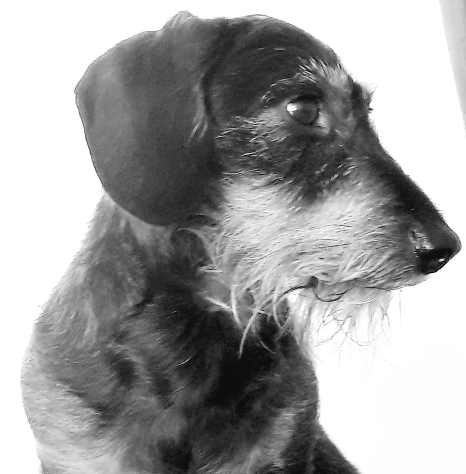 Condolence image of Nina Grüters