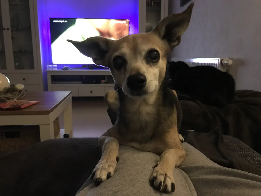 Image from Sandy