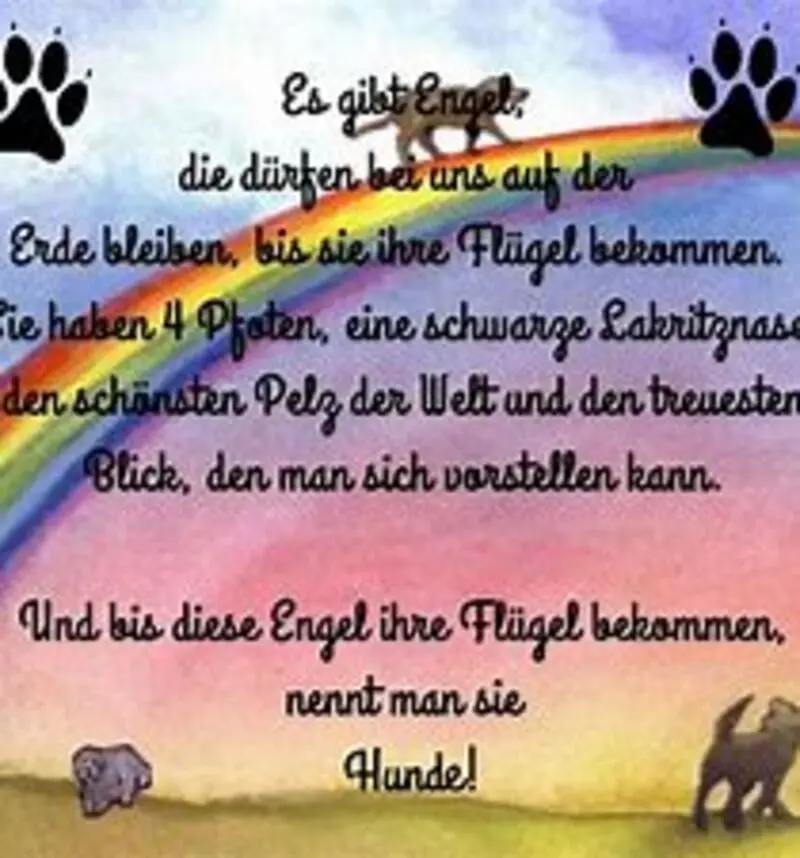 Condolence image of Annemarie und Elke mit Snoopy im Herzen gest.04.01.2022