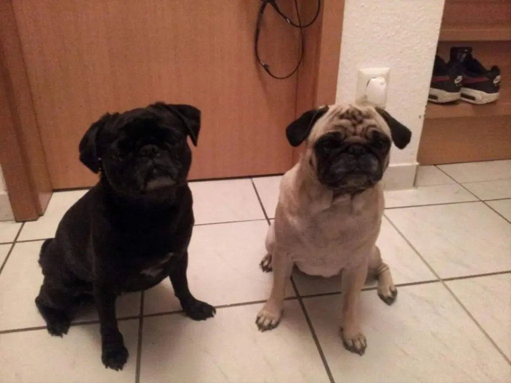 Image from Emelie