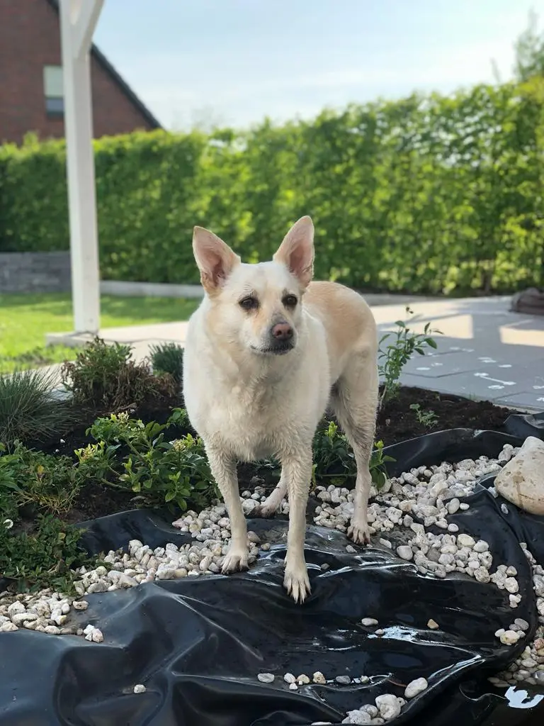 Condolence image of Jasmin