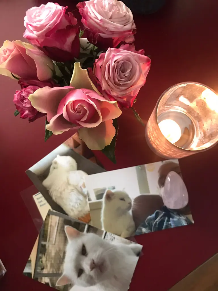 Condolence image of Alexandra