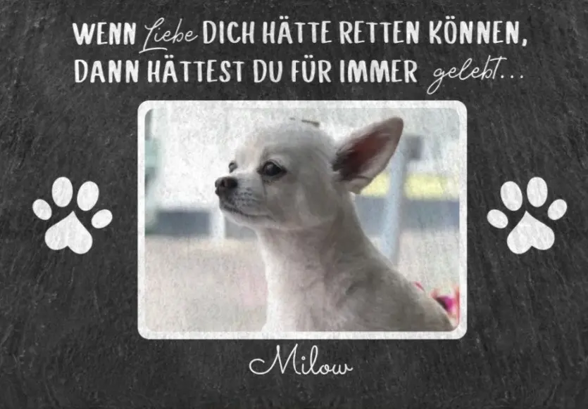 Condolence image of Simone & Jochen