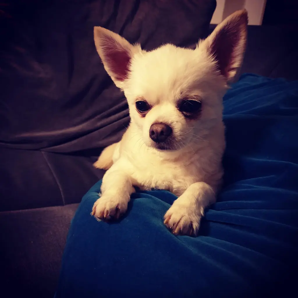Image from Milow