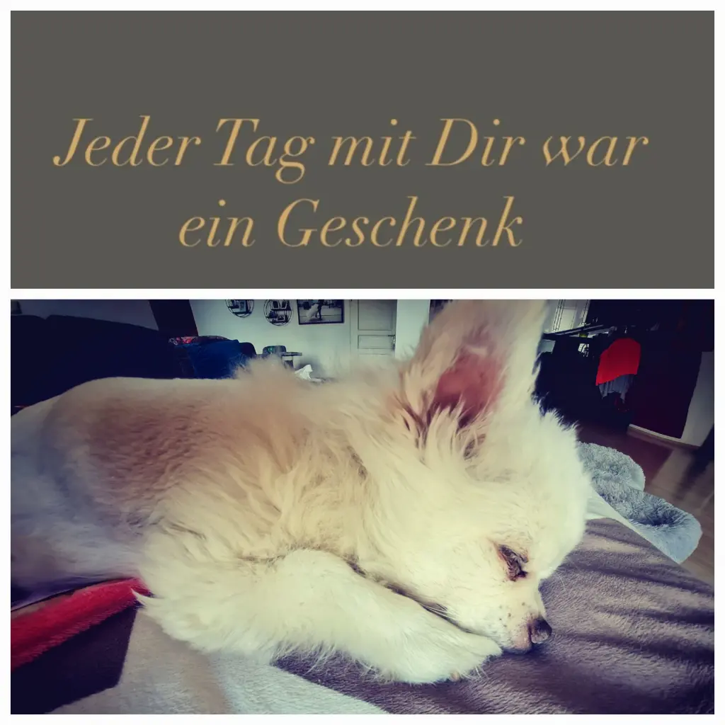 Image from Milow