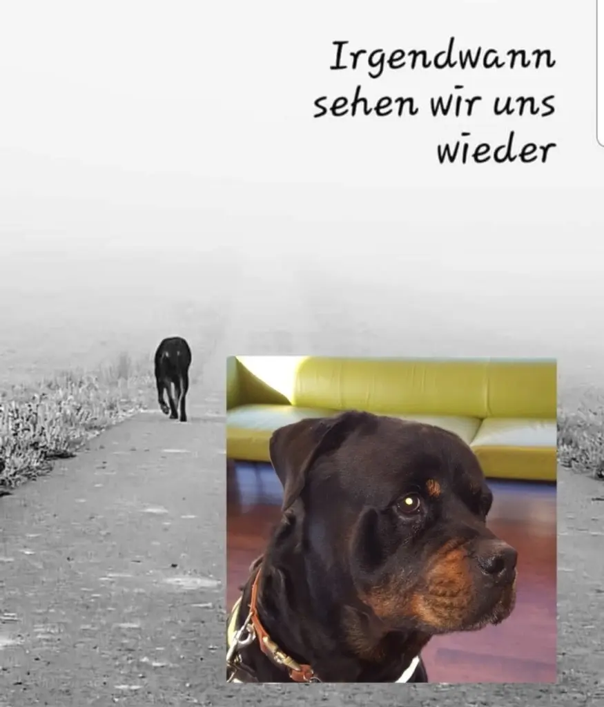 Condolence image of Elke