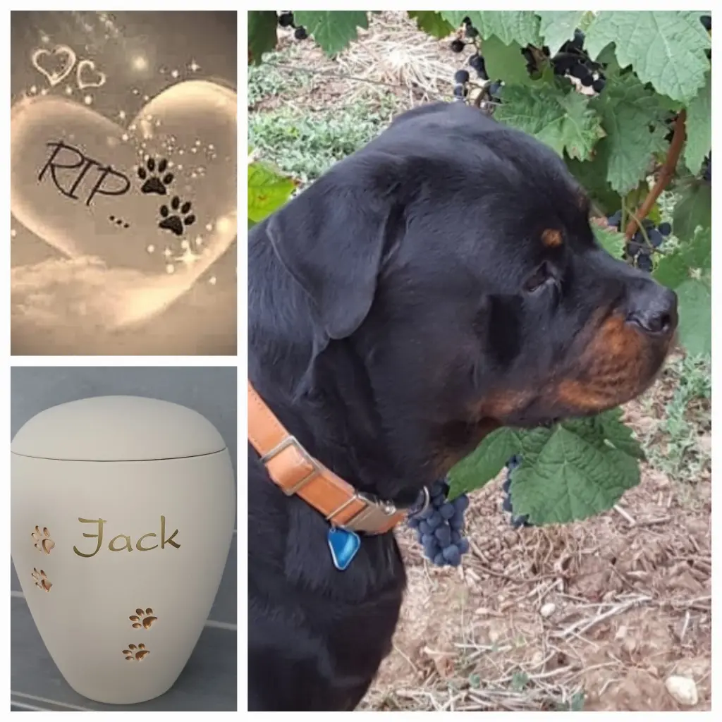 Condolence image of Elke