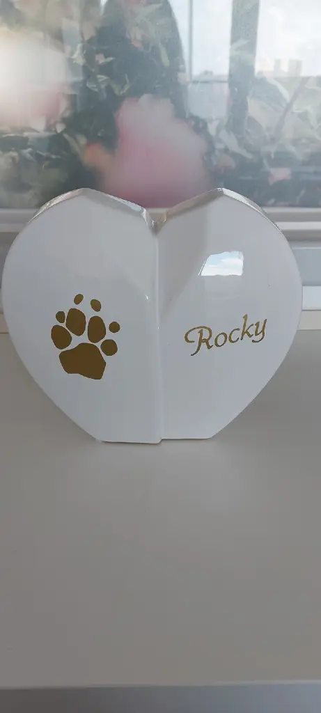 Image from Rocky