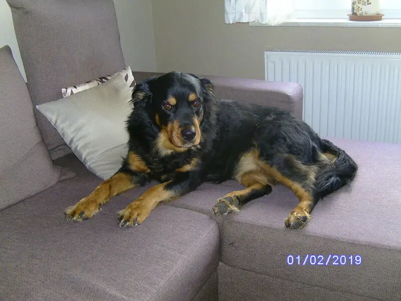 Condolence image of Angelika