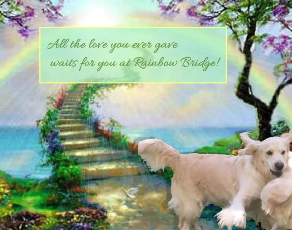 Condolence image of Angela