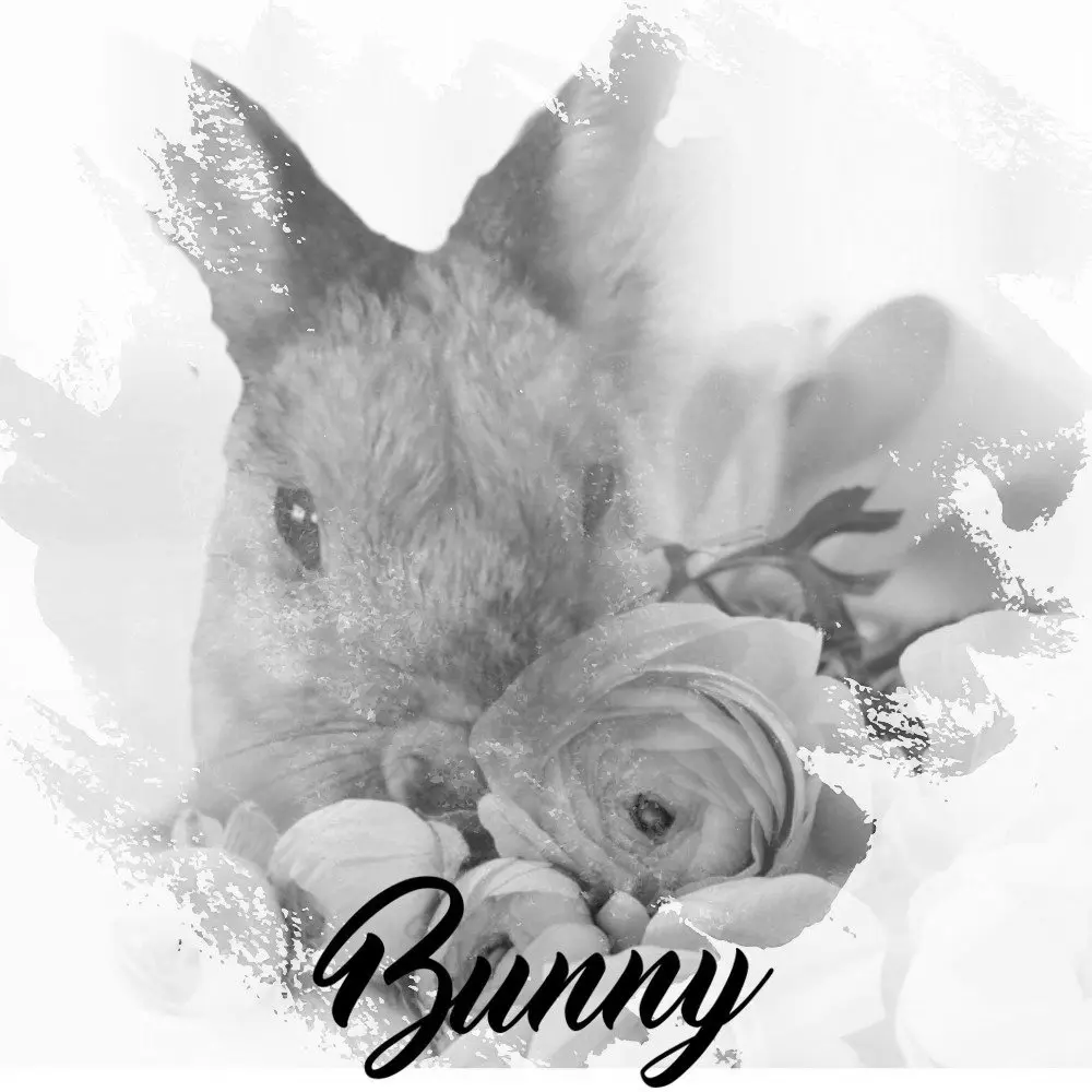 Condolence image of Patricia mit Bunny im ❤ gest. 24.11.2020