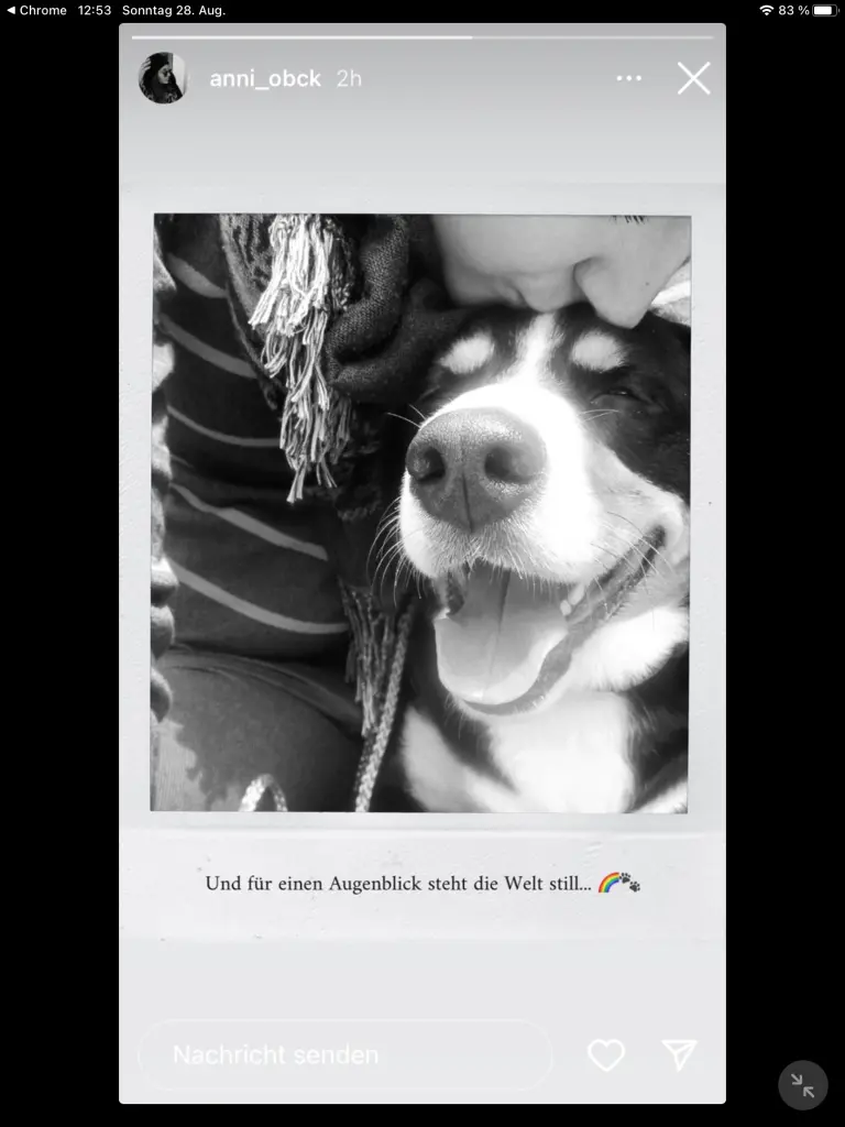 Image from Olli
