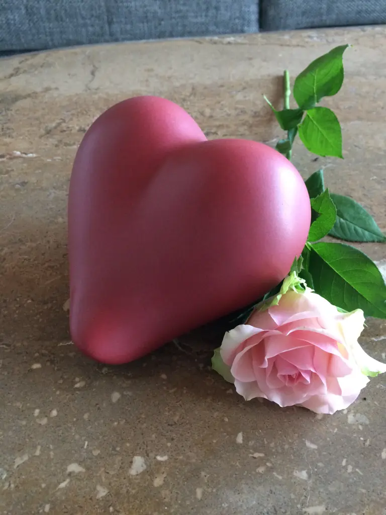 Image from Kitty