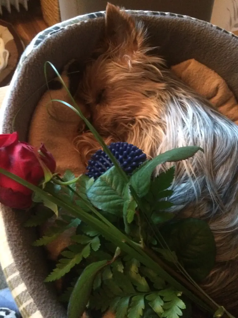 Condolence image of Rita