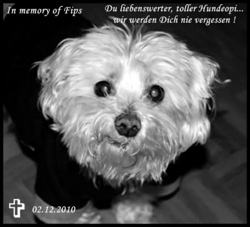 Image from Fips