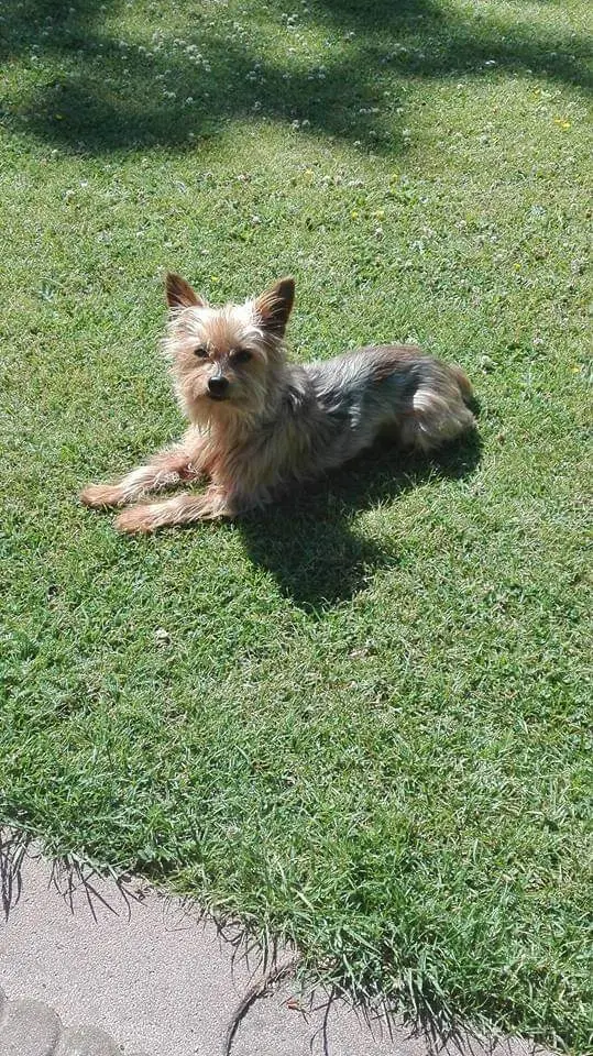 Condolence image of Manuela