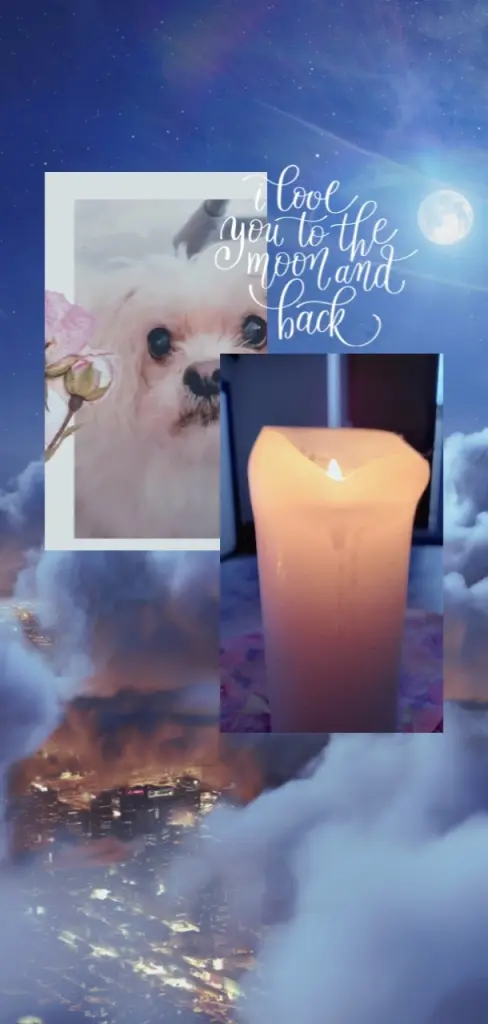Condolence image of Unbekannt