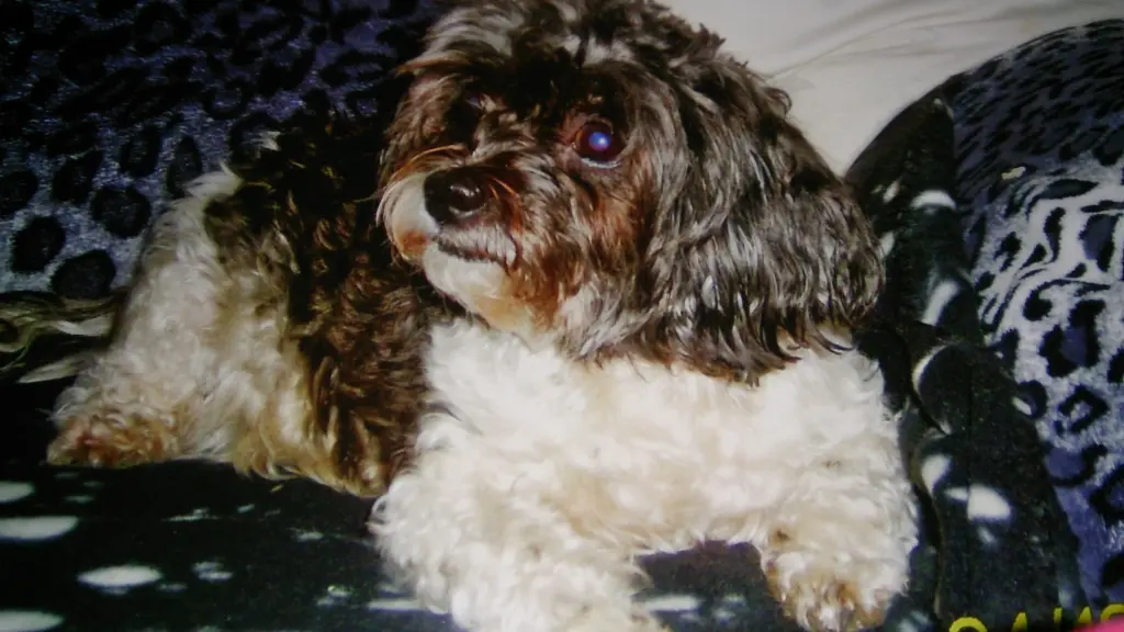 Condolence image of Sigrid