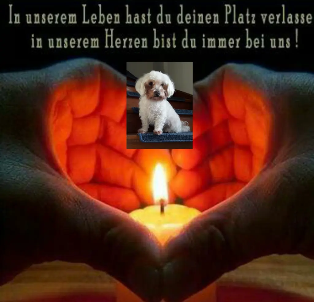 Andachtsbild von Manuela mit Engel Jane