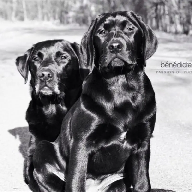 Andachtsbild von Nicole & Christoph