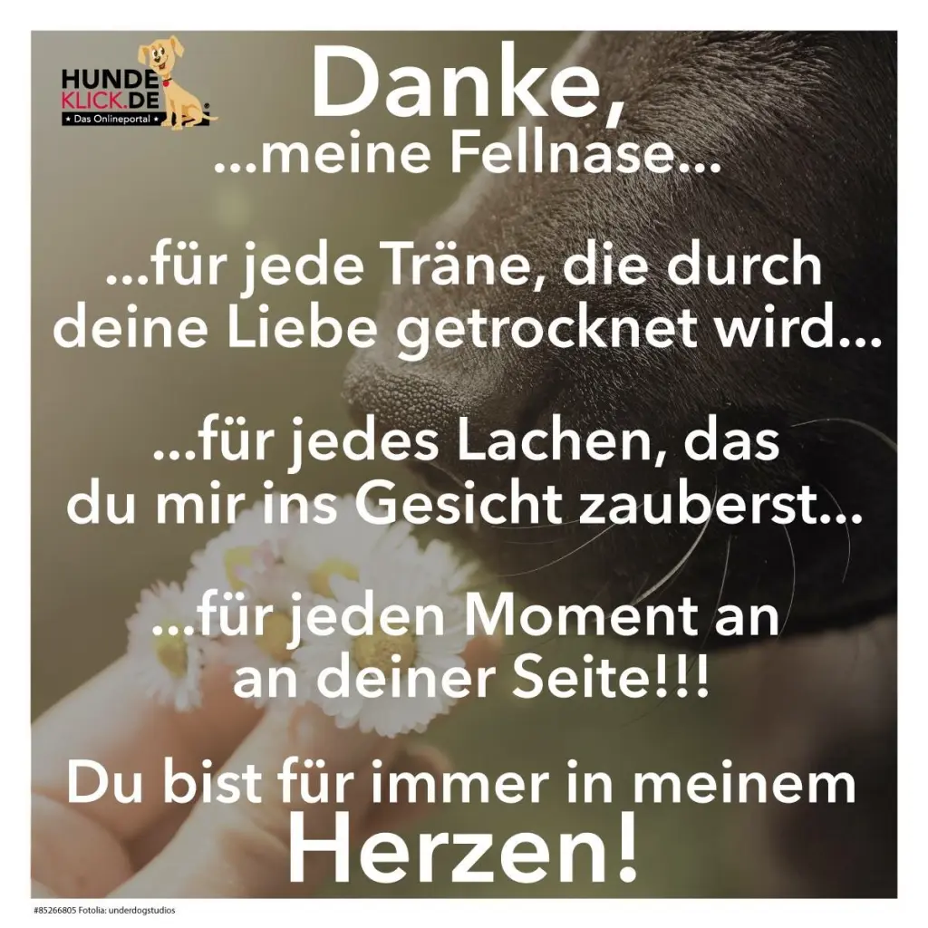 Andachtsbild von Nicole & Christoph