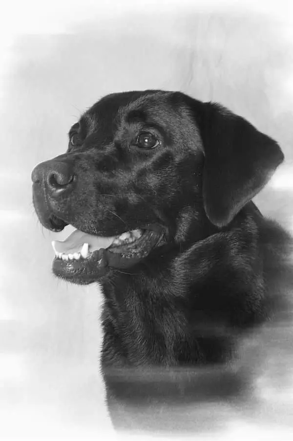 Andachtsbild von Nicole & Christoph mit Paula und Paulo