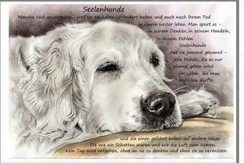 Andachtsbild von Nicole & Christoph