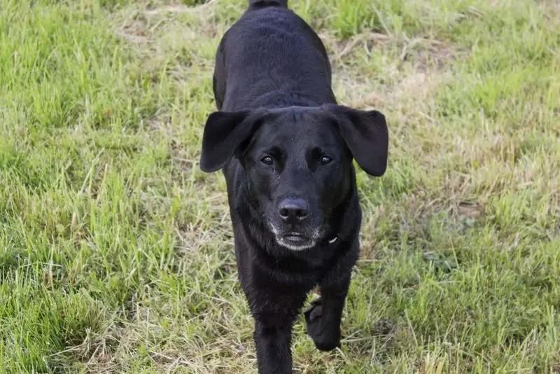 Andachtsbild von Nicole & Christoph