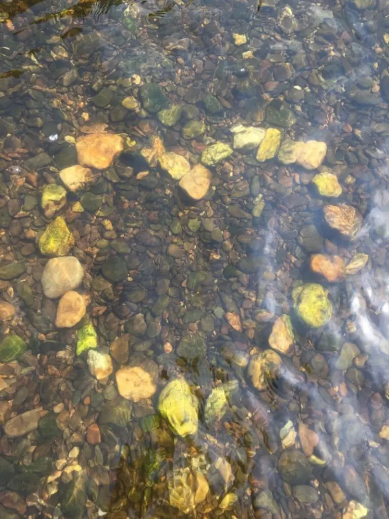 Andachtsbild von Nicole & Christoph mit Paula und Paulo