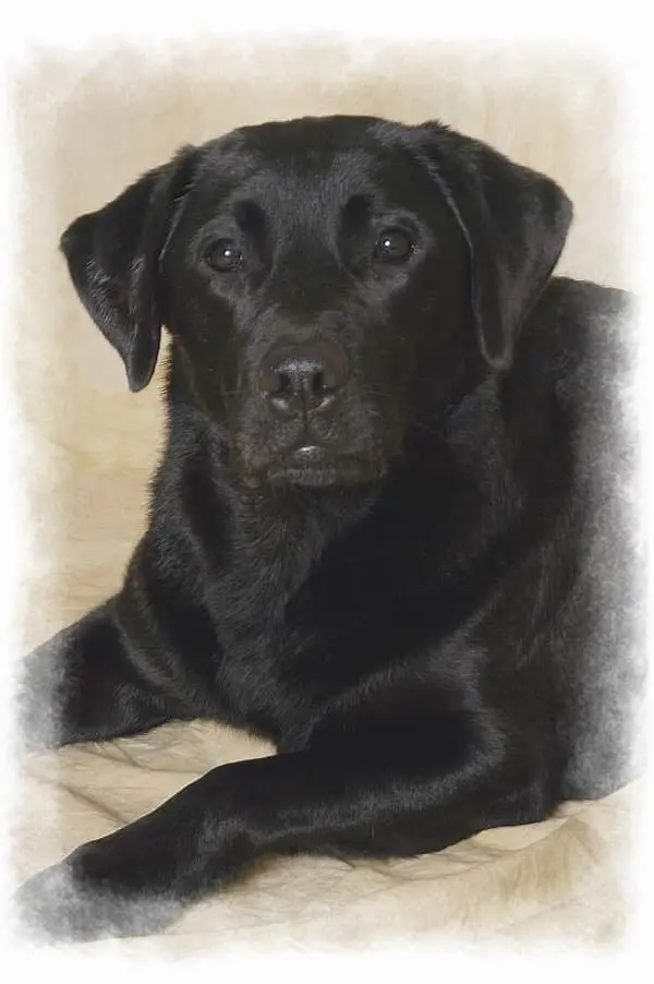 Andachtsbild von Nicole & Christoph